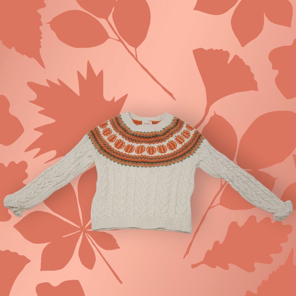 Cynthia Rowley Girls Pumpkin Fall Autumn Thanksgiving Sweater XS 4